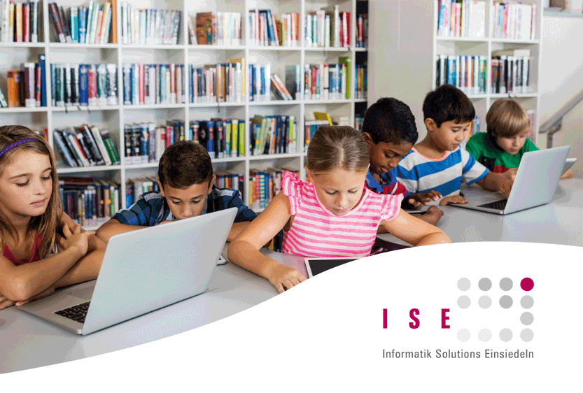 ISE AG Informatik Solutions Einsiedeln Referenzbericht STEPS