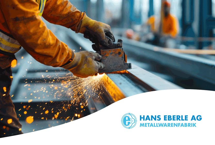 Hans Eberle Referenzbericht IN:ERP Step Ahead