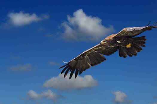 STEPS Update: Die neue Version 2021.08